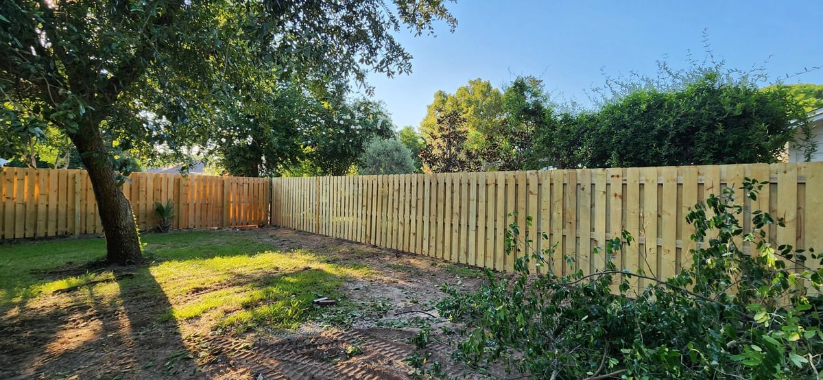 Residential backyard with wooden fence, mature trees, and sunny lawn bordered by green vegetation