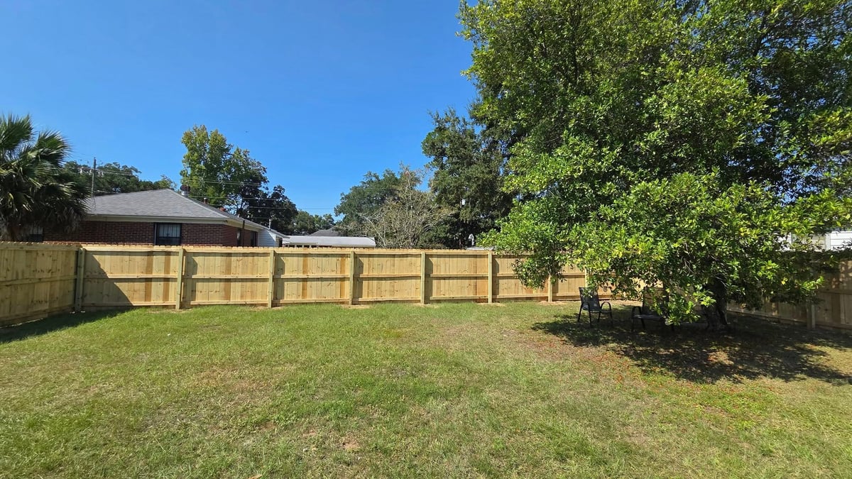 Backyard with wooden fence, green lawn, and mature trees on a sunny day with clear blue sky